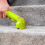 Gtech Gtech Koala Spot Cleaner 14
