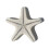 3pcs 5cm Small Starfish Star Sea Shell Beach Craft 2