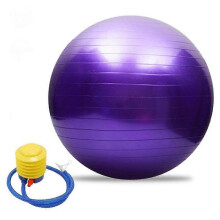 Exercise Ball Extra Thick Yoga Ball Chair for Office & Home & Gym