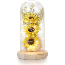 Sunflower Gifts for Mom Grandma, Artificial Sunflower in Glass Dome with Led Light for Women on Birthday Anniversary