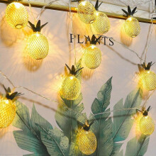 1 Packs Pineapple String Lights, 16ft Wire with 30pcs Pineapple Lights, Battery Operated Fairy String Lights for Party