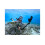 ‎Insta360 Insta360 Ace Pro Action Camera 6