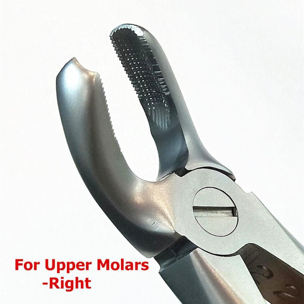 (1 piece D) 1 piece High Quality Dental Adult Tooth Extraction Forcep Plier Teeth Extraction Plier Forcep Dentist Tools Pliers
