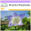 SAFLAX  - Lampionblume - Nicandra - 100 Samen 1