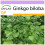 SAFLAX  - Ginkgo - Ginkgo - 4 Samen 1