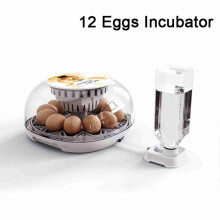 (As show, One size) Egg Incubator for Hatching with Automatic Egg Turning Led Egg Test Lamp Clear Lid Easy to Wash 12 Eggs Poultry Hatcher Farm Bird Quail Chicken Poultry