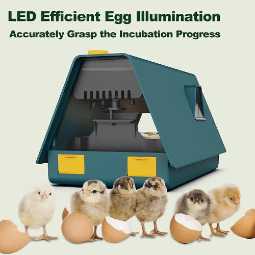 (As show, One size) Incubator for Hatching Eggs Automatic Egg Turning 10 Eggs LED Efficient Egg Illumination Display Screen Multifunctional Egg Tray Visible Polystyrene D 1