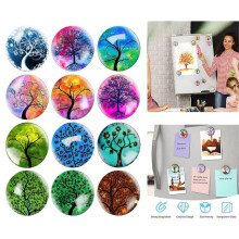 (H)12 Tree Life Fridge Magnets, 3D Fridge Magnet for Office Cabinets, Whiteboards and Photos Home D