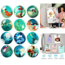 (E)12 Pcs, Magnet, Magnetic Board Magnets, Fridge Magnet, for Fridges, Magnetic Boards, Whiteboards
