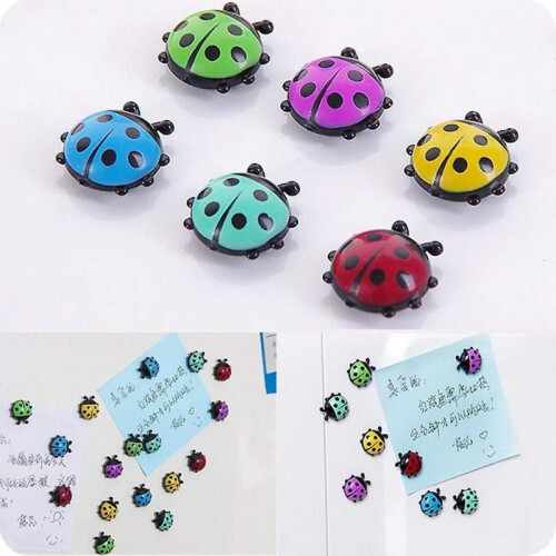 U/K 12pcs Mini Ladybug Magnets Fridge Magnets Practical and Popular 2
