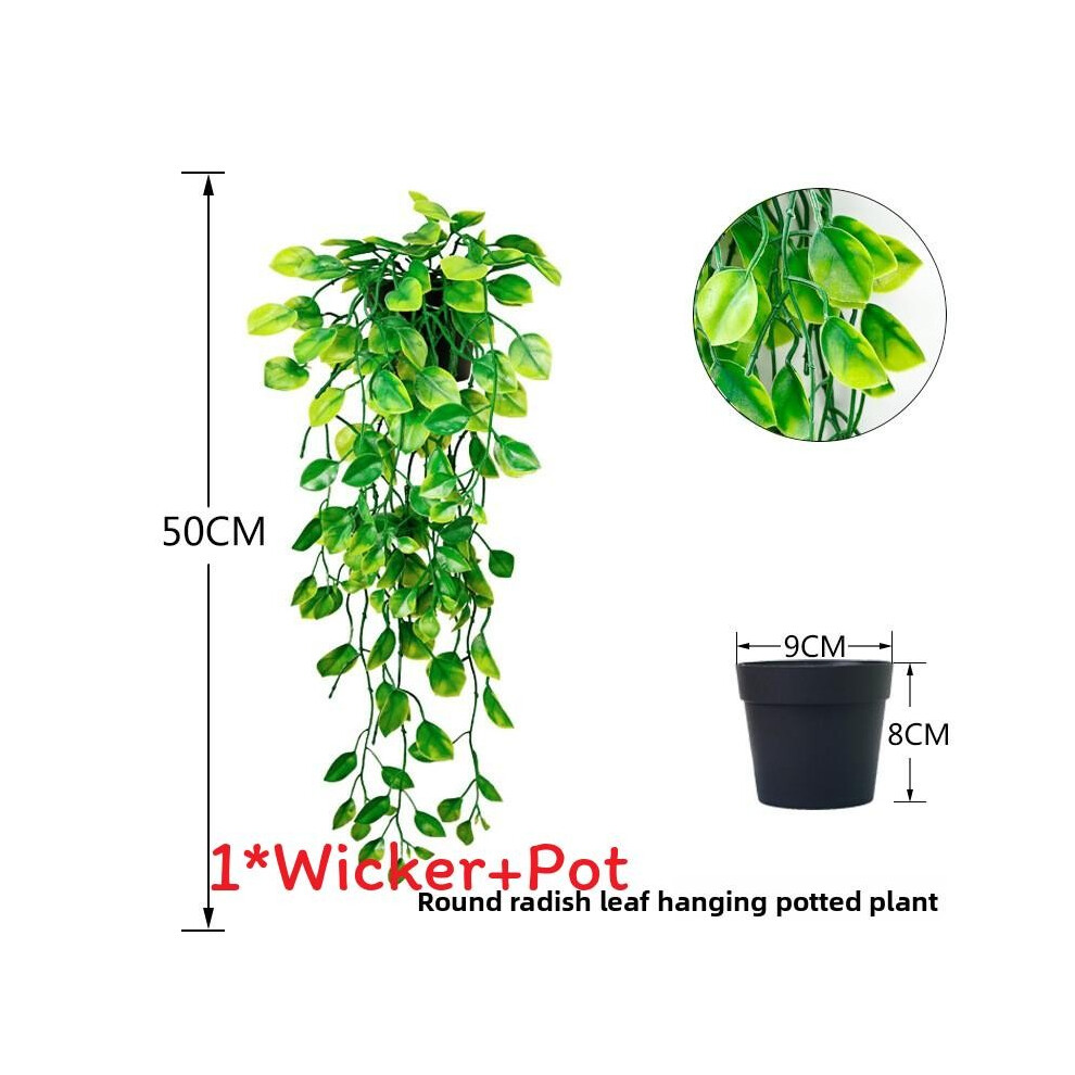 (Round Leaf )Eucalyptus Globulus Salix Babylonica fausse plante maison extérieur paysage design