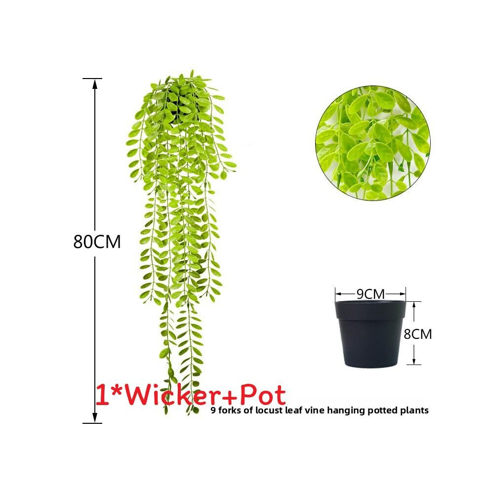 (Locust Leaf Vine )Eucalyptus Globulus Salix Babylonica fausse plante maison extérieur paysage design