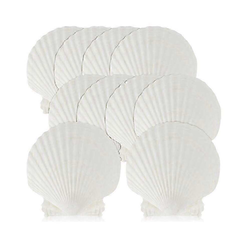 Kikidex (As Show, One Size) 15 Pcs Natural Sea Shell Large 4-4.7 Inch Scallop Shells Compatible With Diy Craft, Serving Food, Baking White