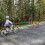Bike Child Towing Rope 4