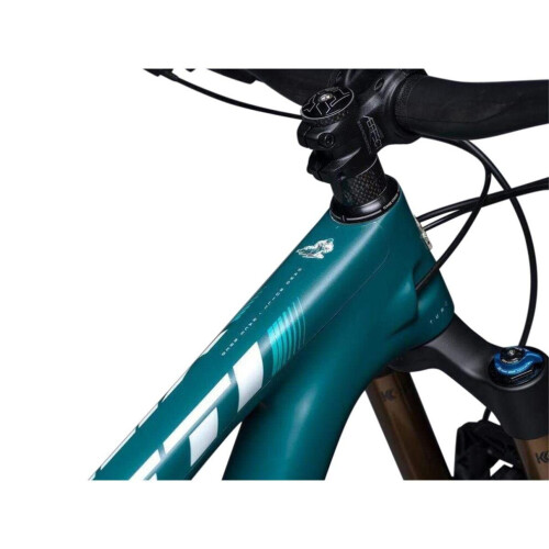 DYEDBRO Frame Protection Kirkas Matt Black Logo