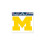 Michigan Wolverines Decal 5x6 Ultra Color 2