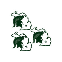 Siskiyou C3HSD41 Unisex NCAA Michigan State Spartans Home State Decal - yksi koko - 3 kpl pakkaus