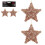  Rose Gold Glitter Christmas Tree Decoration 2 Pack Stars 1