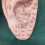 Ear Acupuncture Model Professional Reflexology Acupoint Learning Display Laboratory Supplies 4