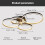 Ganeed Dimmable Modern LED 4 Rings Ceiling Light with Remote Control 2
