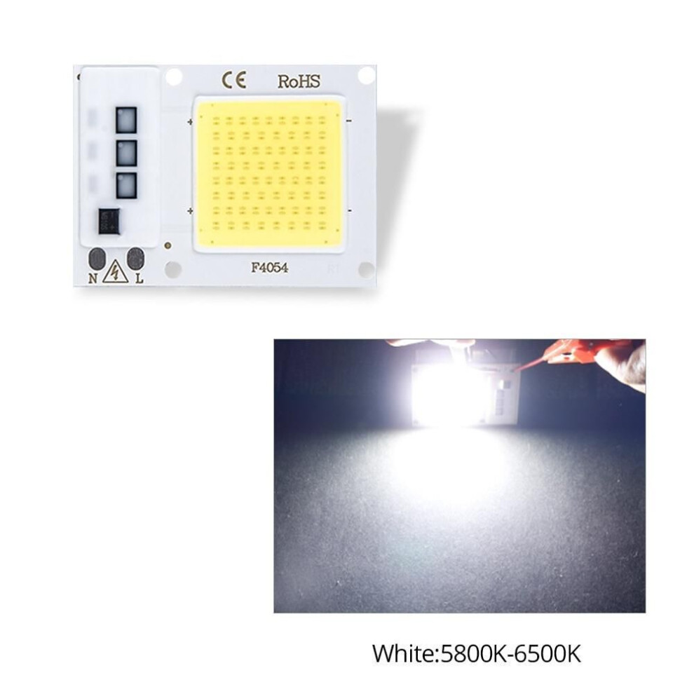 (white, 110V 10W) 110V 220V LED COB chip 10W 20W 30W smart IC without driver LED lamp beads for floodlight spotlight Diy lighting matrix lighting