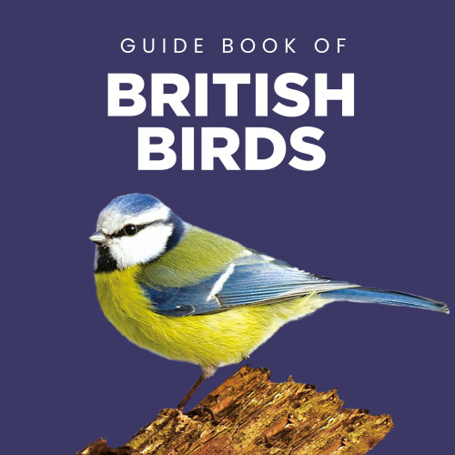 Guide Book to British Birds (150x150 Hardback) 1