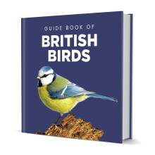 Guide Book to British Birds (150x150 Hardback)