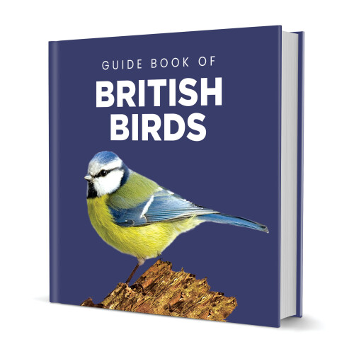 Guide Book to British Birds (150x150 Hardback)