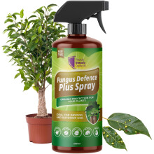 Fungus Defence Plus Spray 200ml | Organic Plant Protection | Targets Blackspot, Mildew, Leaf Spot, Blight, Rust | Ideal for Indoor & Outdoor Use |