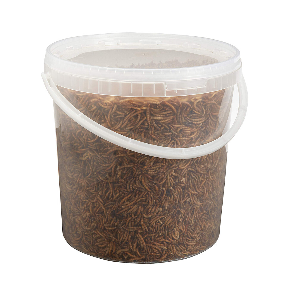 Pet Ting Premium Dried Mealworms, 10 Litre Bucket