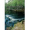 Black Creek 1