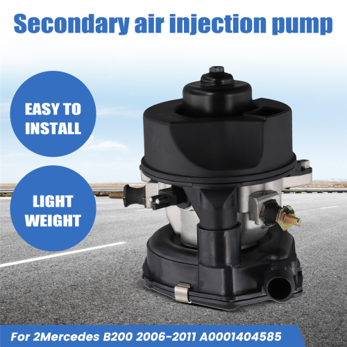 Car Secondary Air Injection Pump Air Pump for 2