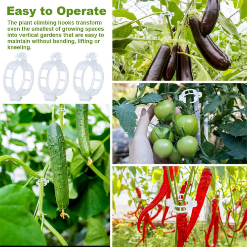 40pcs Tomato Hooks with String,Tomato Support Hooks with 33.3ft Twine 1