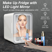 6L Makeup Fridge with LED Light for Cosmetics, Skin Care EU Plug-B