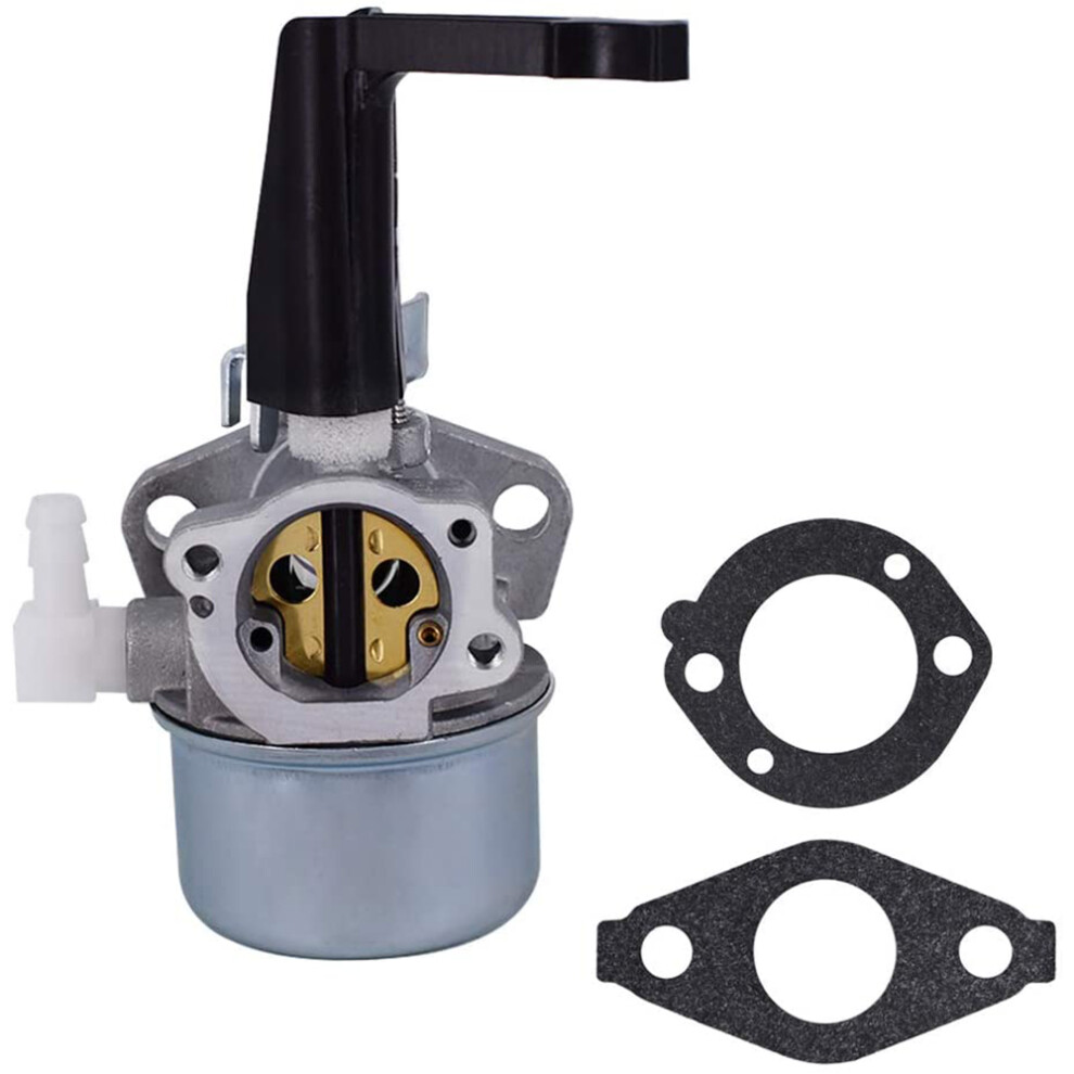 696065 697422 Carburetor With Gasket For 110402 4853476888117