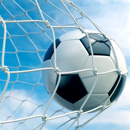24X8FT Full Size Voetbaldoelnet Sportnet Trainingstuin 2