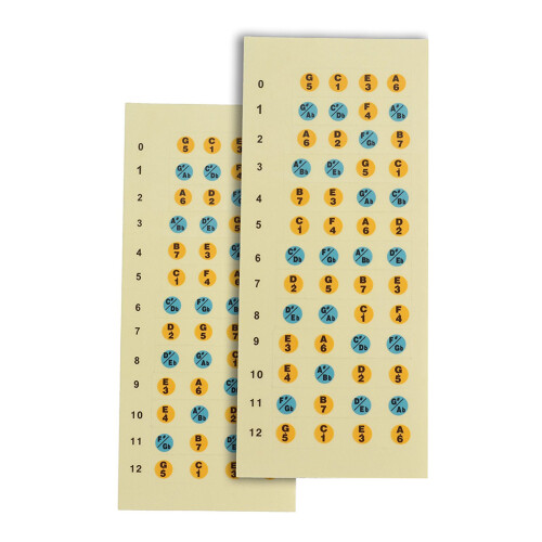 2 adesivi per tastiera e note per ukulele per principianti