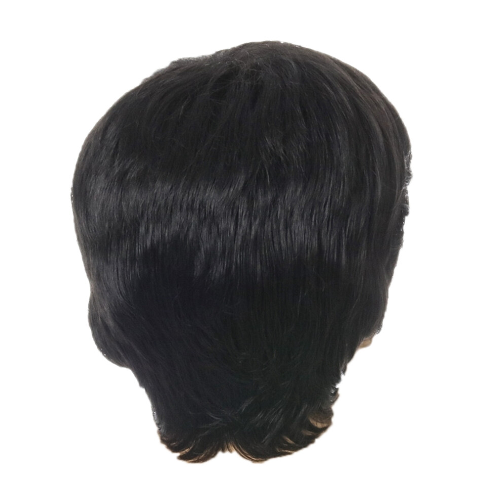 Typecat Unisex Black Fashion Wig Short Male Straight Synthetic For Men Hair Fleeciness Realistic Natural Toupee Wigs
