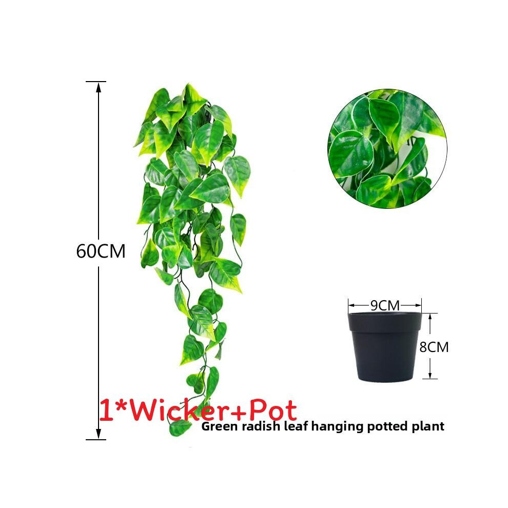 (Green Ivy Green )Eucalyptus Globulus Salix Babylonica fausse plante maison extérieur paysage design