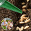 8-pack zaadverdeler, zaaimachine, planter, strooier, tuingereedschap 4