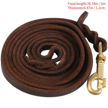 2M Long Leather Braided Pet Dog Walk Traction Collar Strap Training Leash Lead