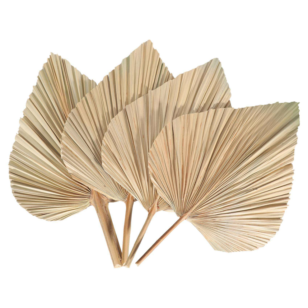 4Pcs Dried Palm Leaves Fans Bohemian Spears Artificial Plants Tropical-image-OPC-PHHM8TQ-NEW