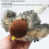 Remote Control Interactive Cat Toys Flying Bird Flapping Wings 3