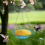 Bird Flower Shaped Hanging Feeder Birdbath B 4