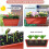 3 Pack 19.6 Inches Window Box Rectangular with Trays 5