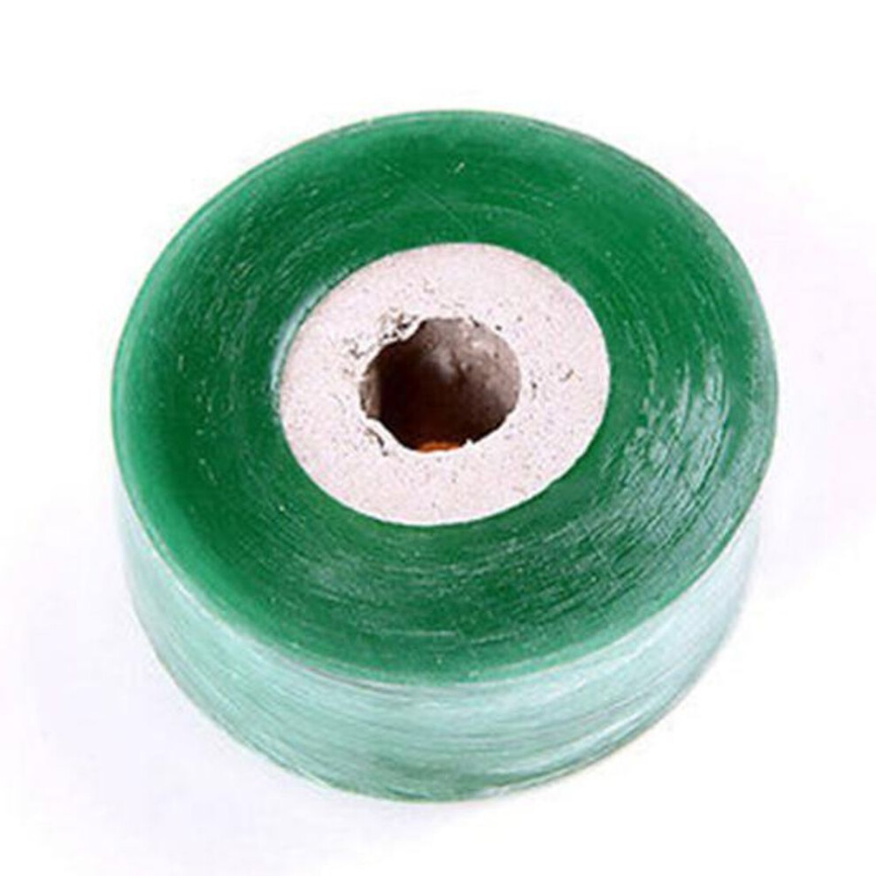 Stretching From Adhesive Tape Grafting Trees Landscape Planting Joints