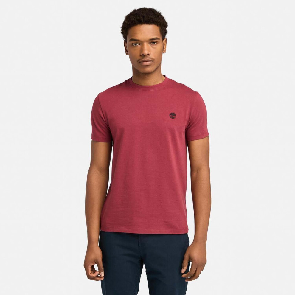 (M, Brown) Timberland Mens Dunstan River Crew Neck T-Shirt