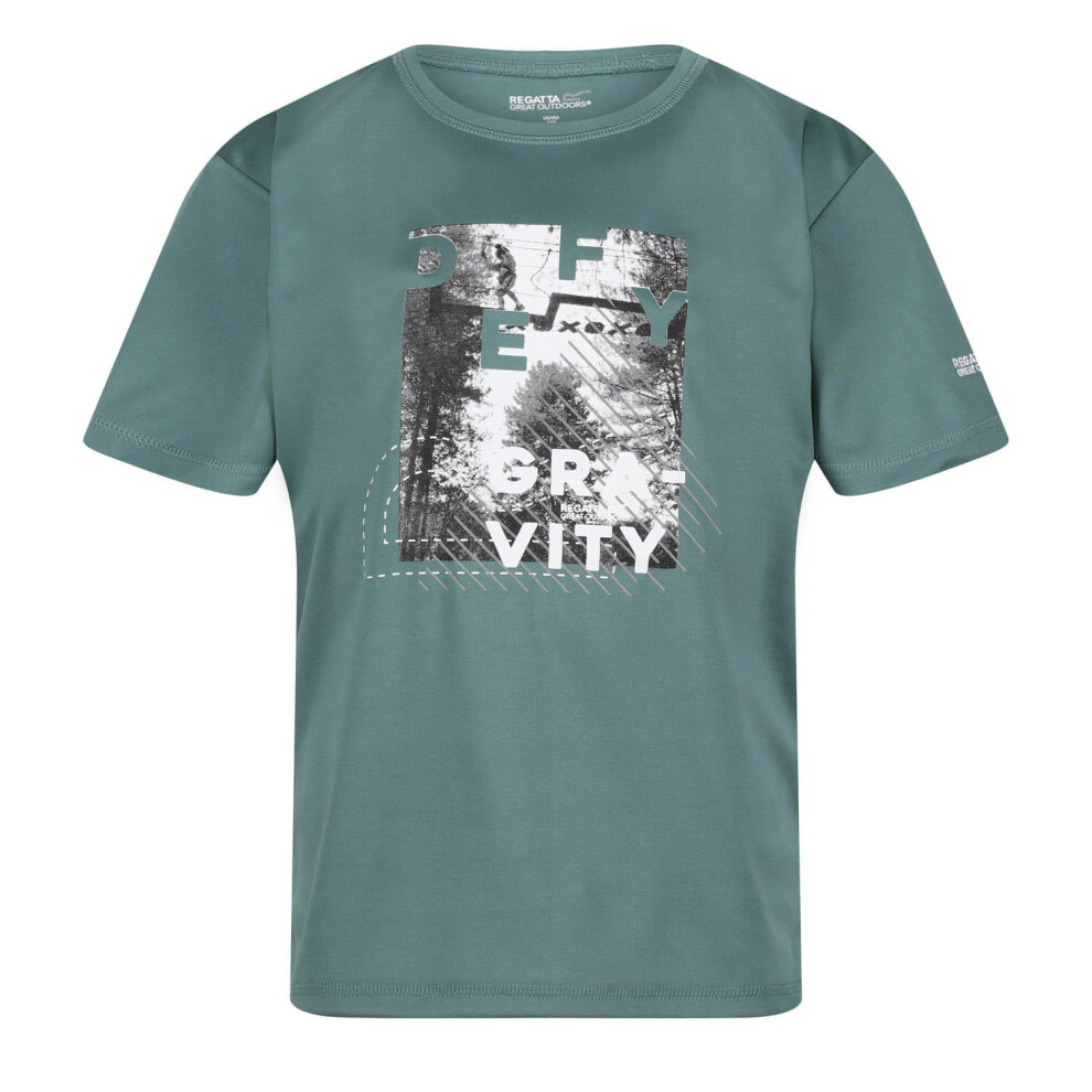(7-8 Years, Teal) Regatta Childrens/Kids Alvarado VII Gravity T-Shirt