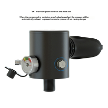 Mini bouteille d'oxygène pour la plongée ; Enseignement de la plongée ; Respirateur sous-marin