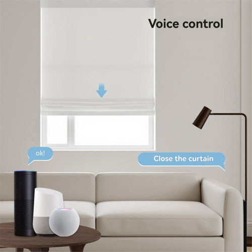 Voice-Controllable Roller Shade Blinds Motor with Remote Matter WiFi 2